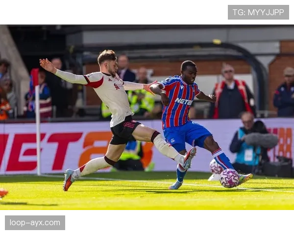 水晶宫赛季回顾：团队凝聚力成关键，稳居英超前列