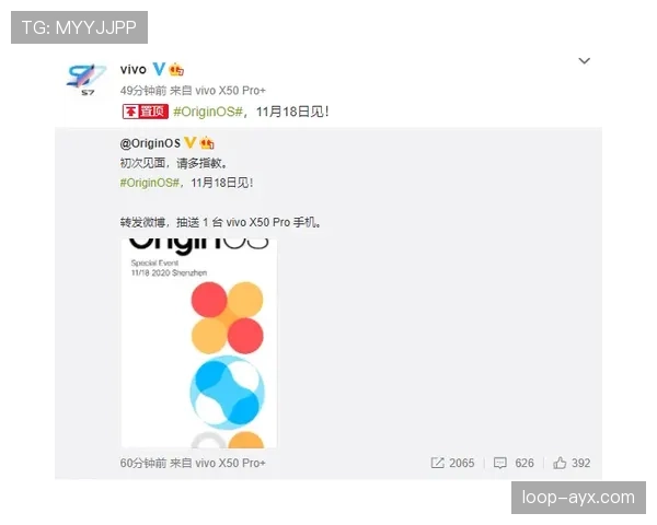 水晶宫重塑球队架构，新赛季焕然一新的团队动态引关注