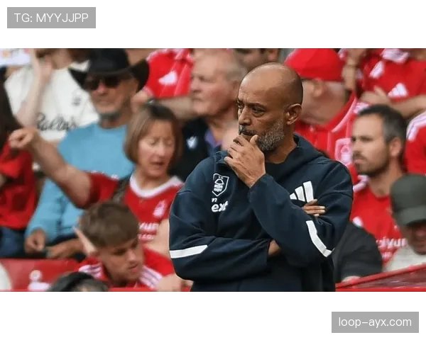 英超努诺森林 英超努诺森林